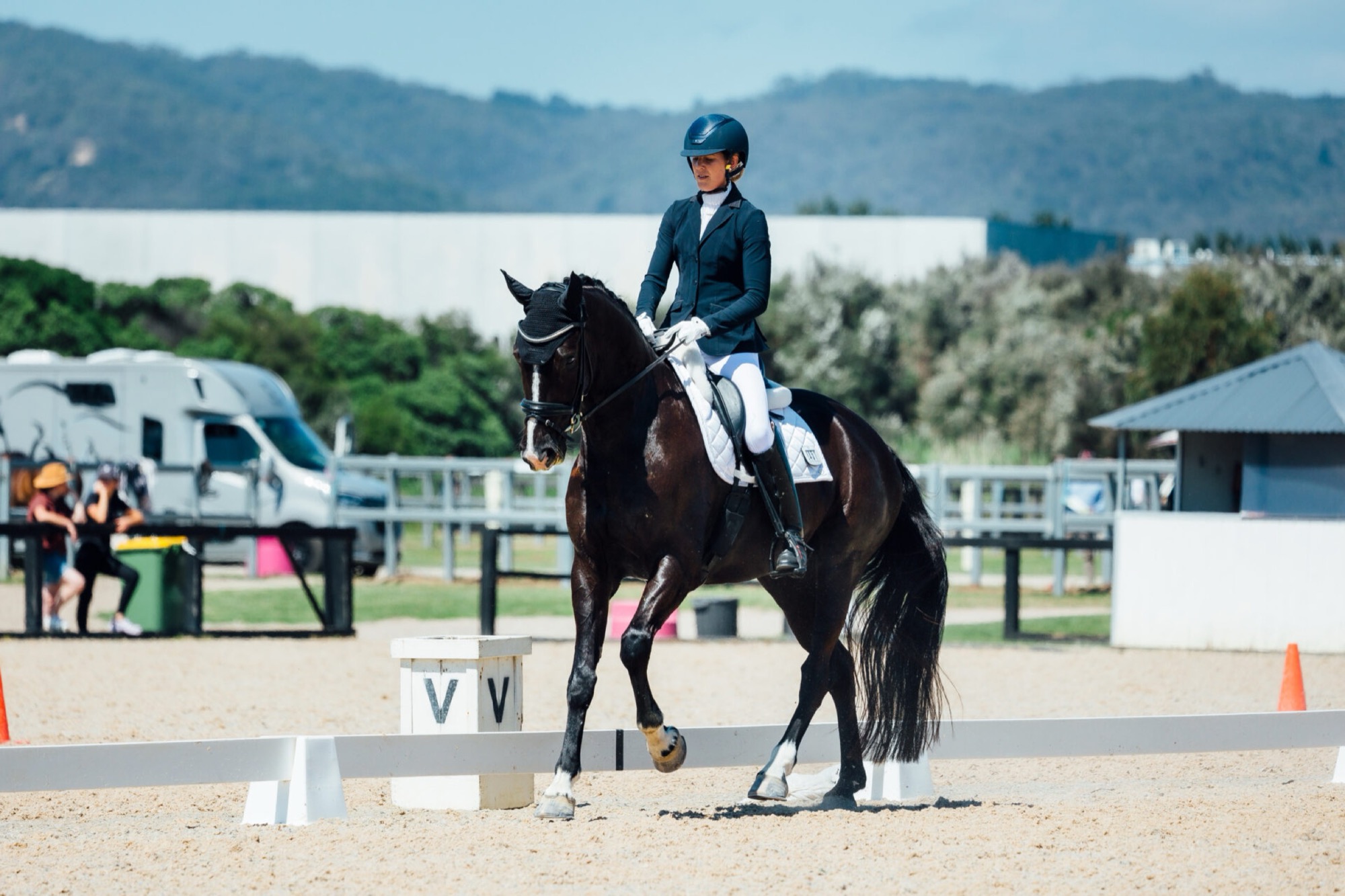 Dressage horse and rider in the arena