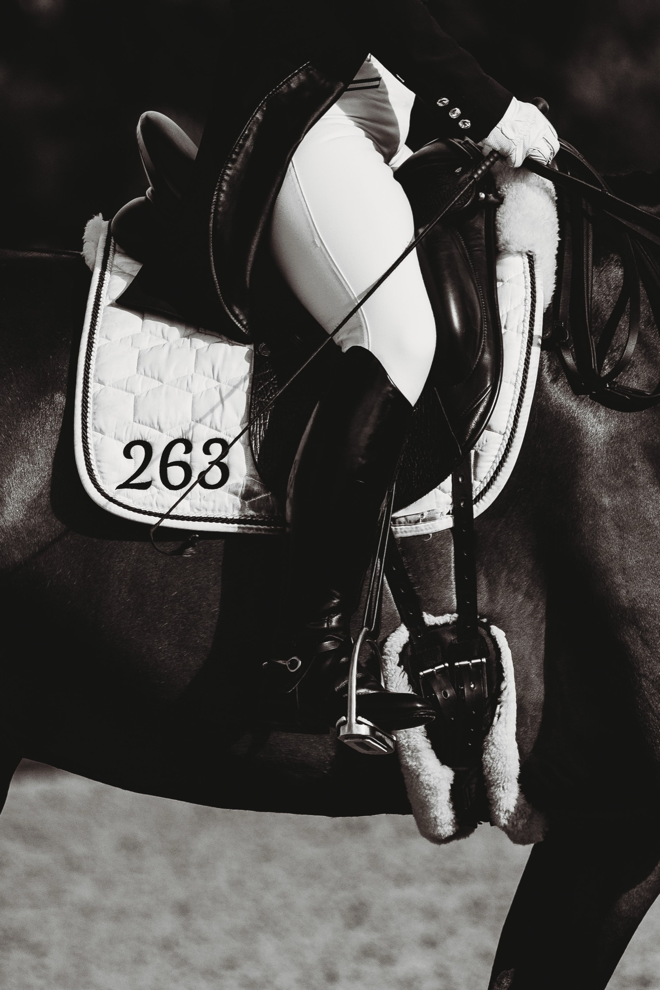 Dressage rider in white breeches and black tails, close on the saddle