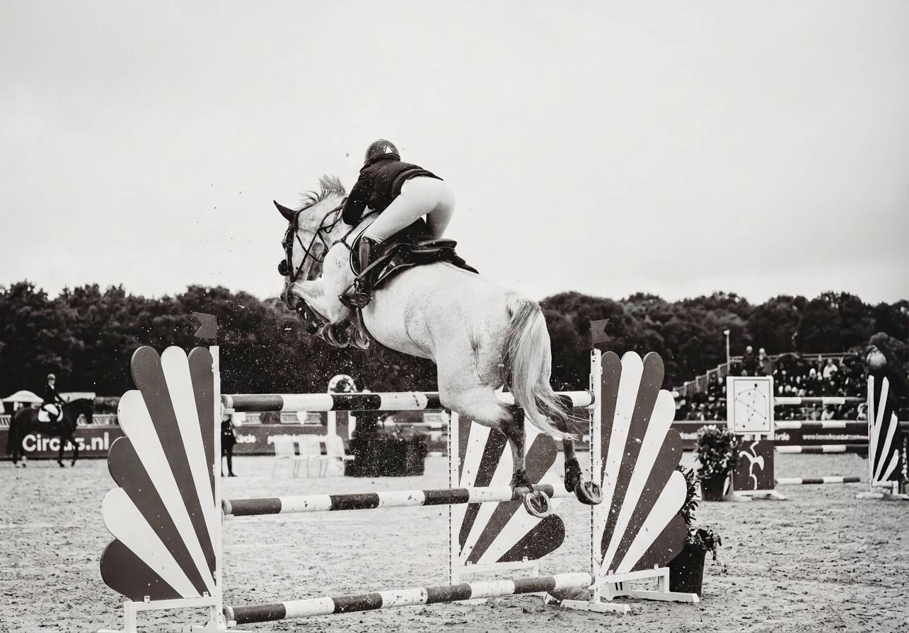 Showjumper clearing a fan-wing fence, in black and white