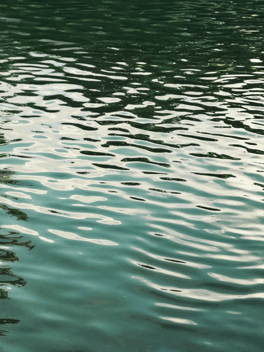 Ripples across the wetland lake