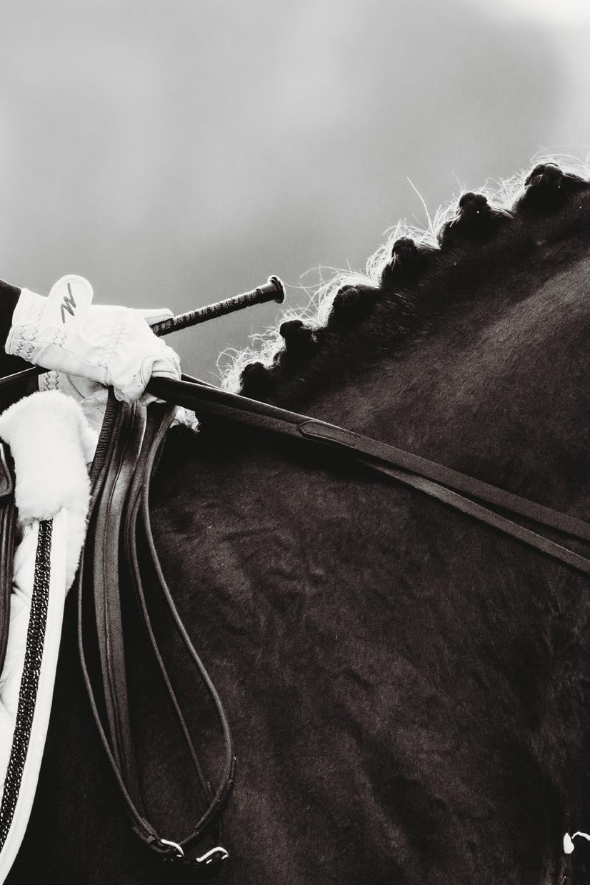 Rider’s gloved hand and whip against a dark horse