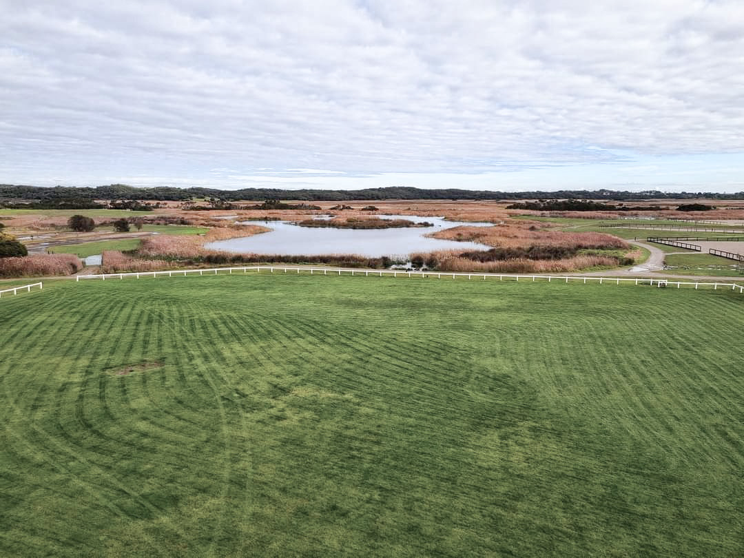 Wetland lake and open grassland at Boneo Park