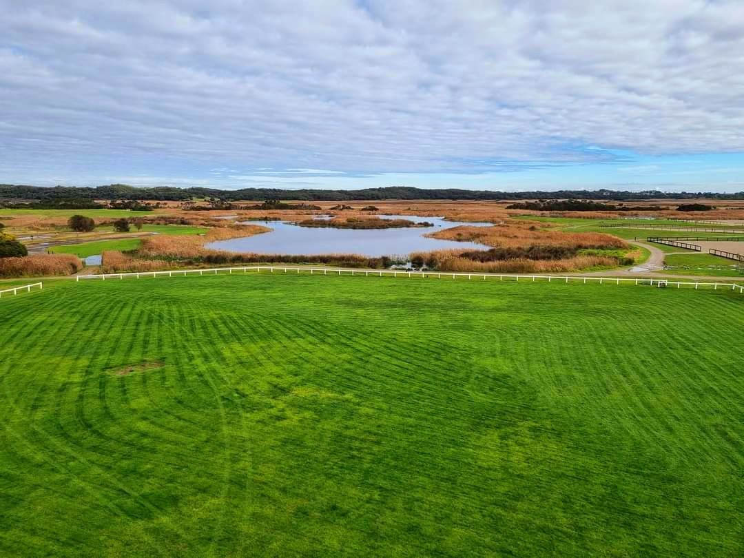 View across the wetland
